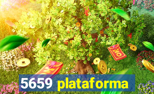 5659 plataforma